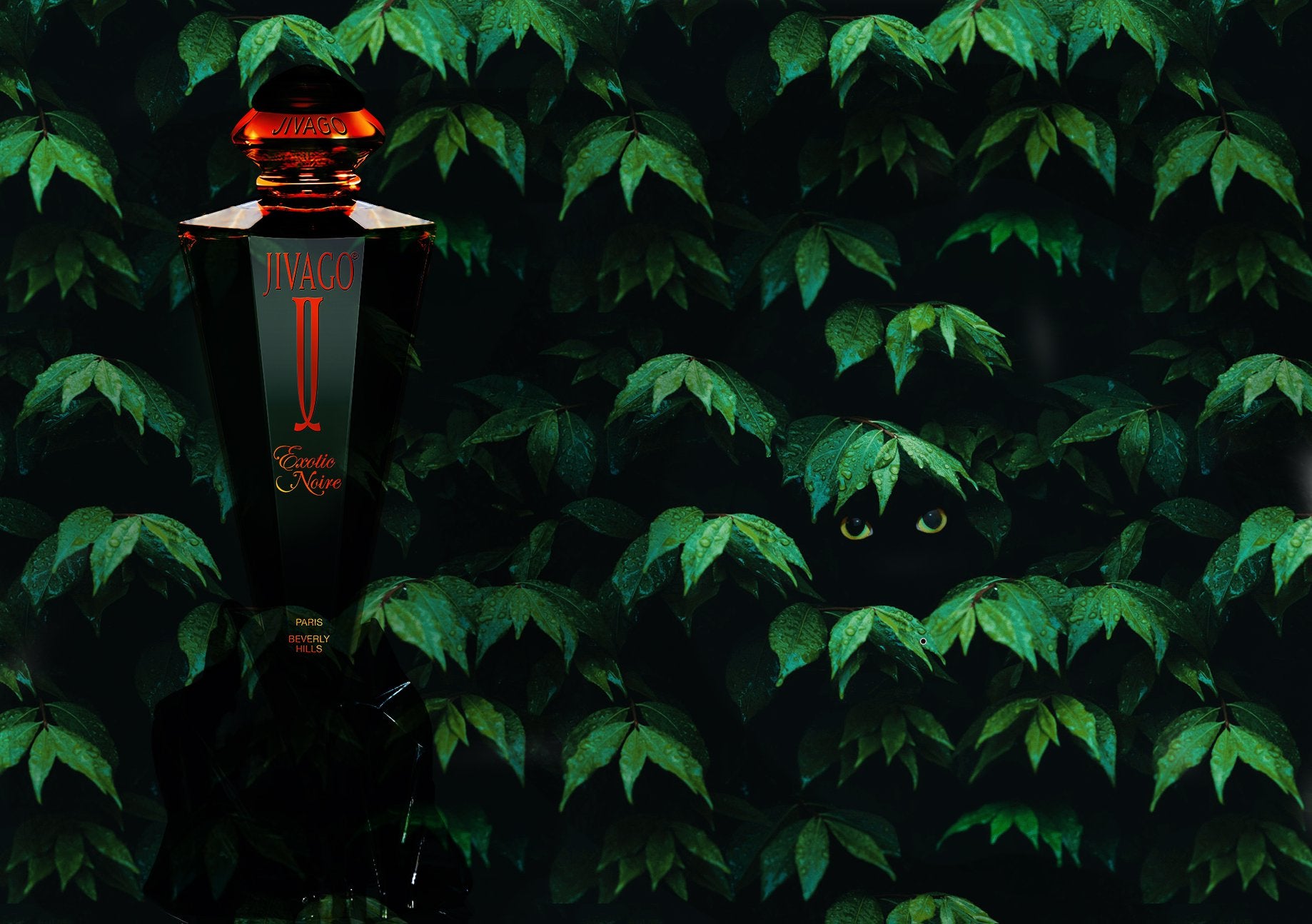 Jivago EXOTIC NOIRE EDP 75ml